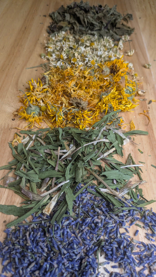New Bainbridge Blooms Dried Herbs!